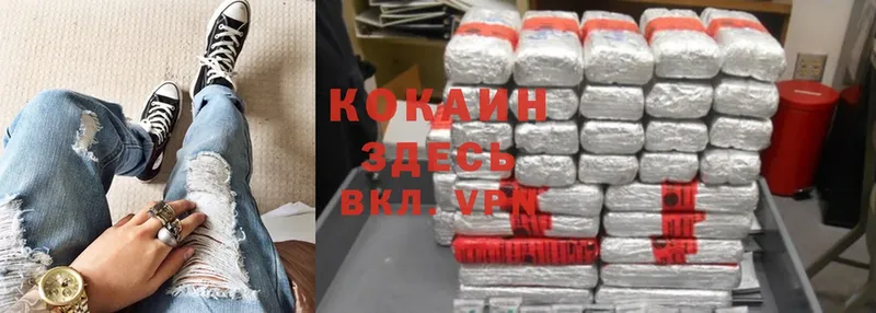 магазин  наркотиков  Бирск  Cocaine Fish Scale 